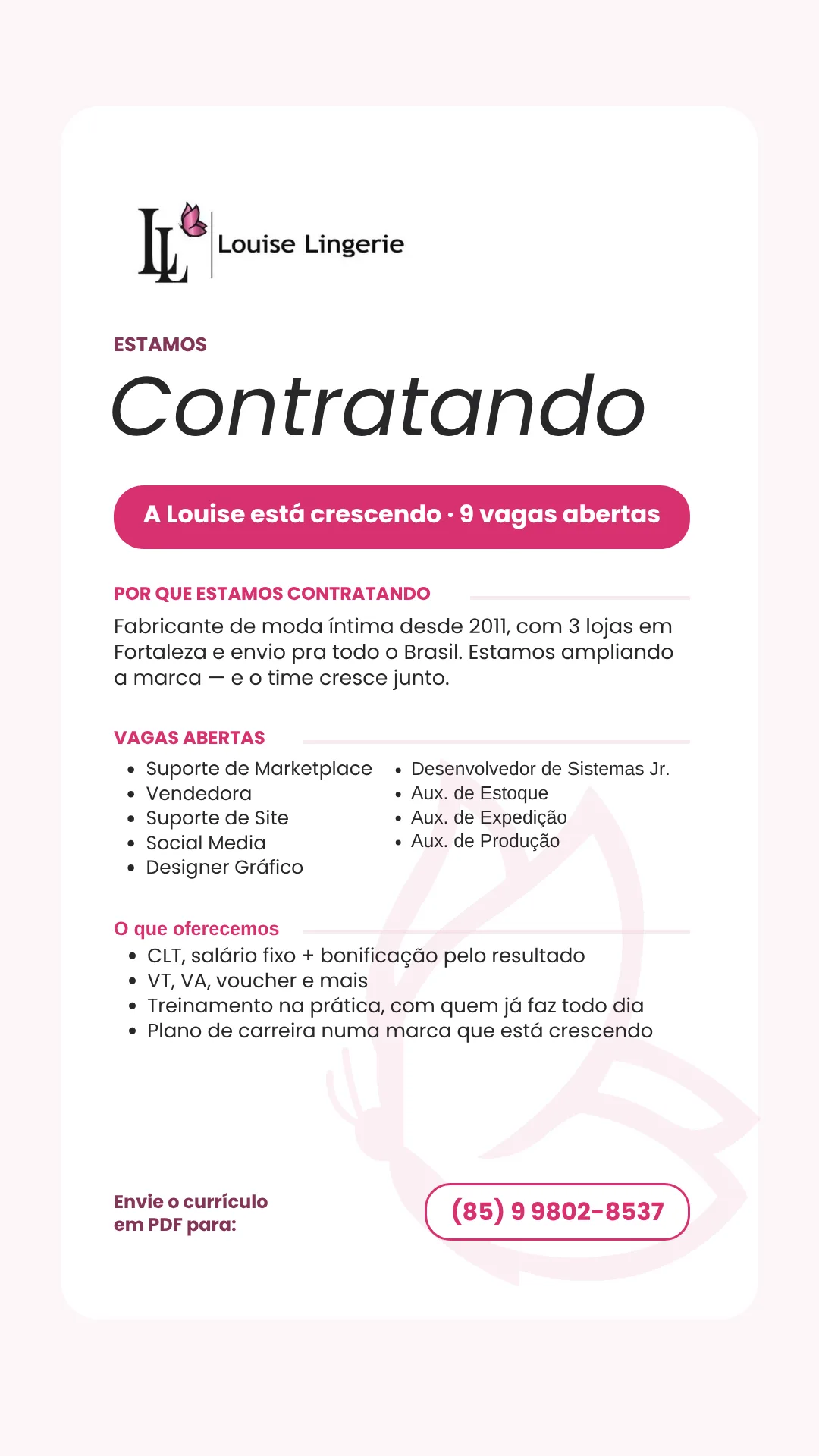 Oportunidades de Emprego na Louise Lingerie